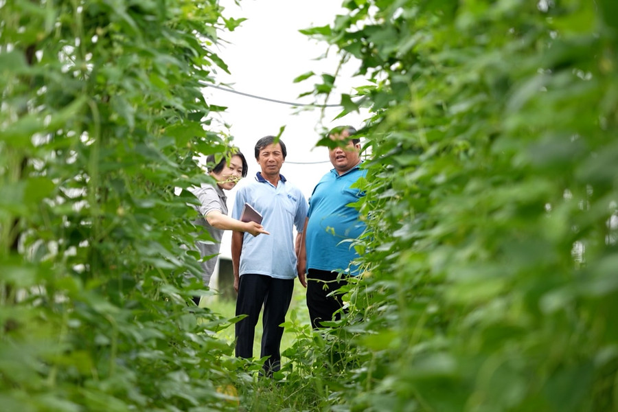 Việt Nam - Đến và Yêu 2025: Hành trình của những người chọn dải đất hình chữ S làm tương lai
