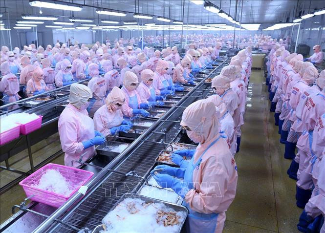 Từng bước tháo gỡ khi Mỹ cấm nhập 12 nhóm loài thủy sản Việt Nam