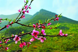 Mùa xuân và ước mơ