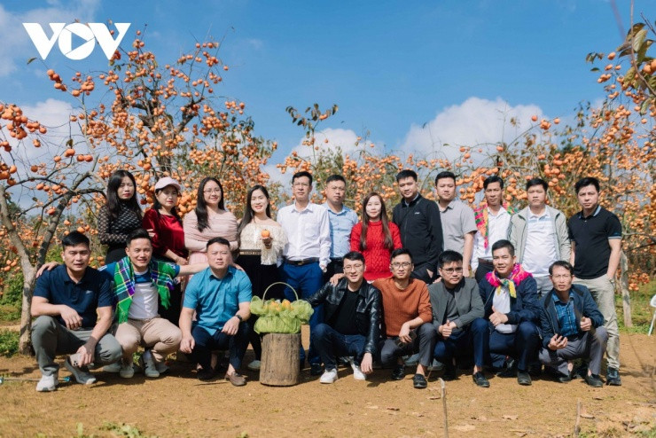 Mộc Châu mùa quả chín: Hành trình khám phá sắc màu rực rỡ trên cao nguyên Sơn La