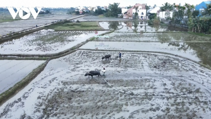Đà Nẵng: Trải nghiệm làm nông dân và thợ gốm tại các làng quê yên bình
