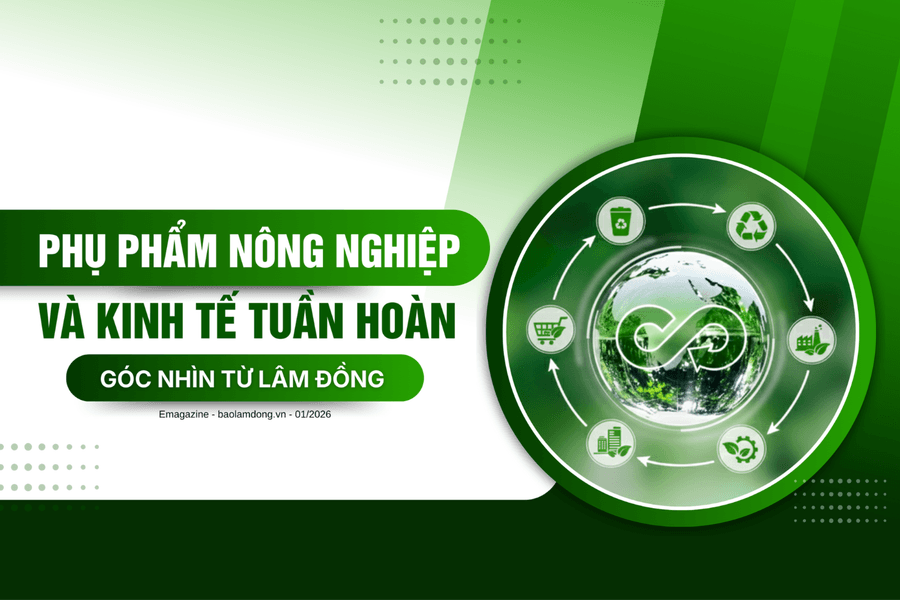 Phụ phẩm nông nghiệp và kinh tế tuần hoàn – Góc nhìn từ Lâm Đồng