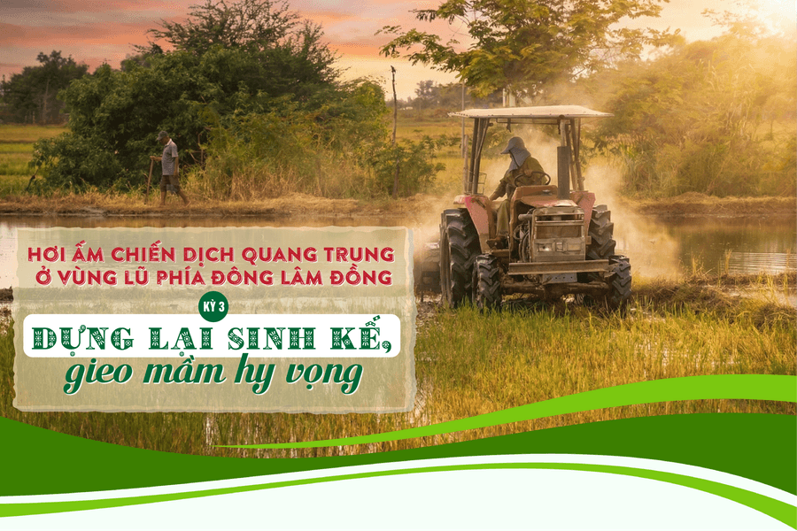 Dựng lại sinh kế, gieo mầm hy vọng