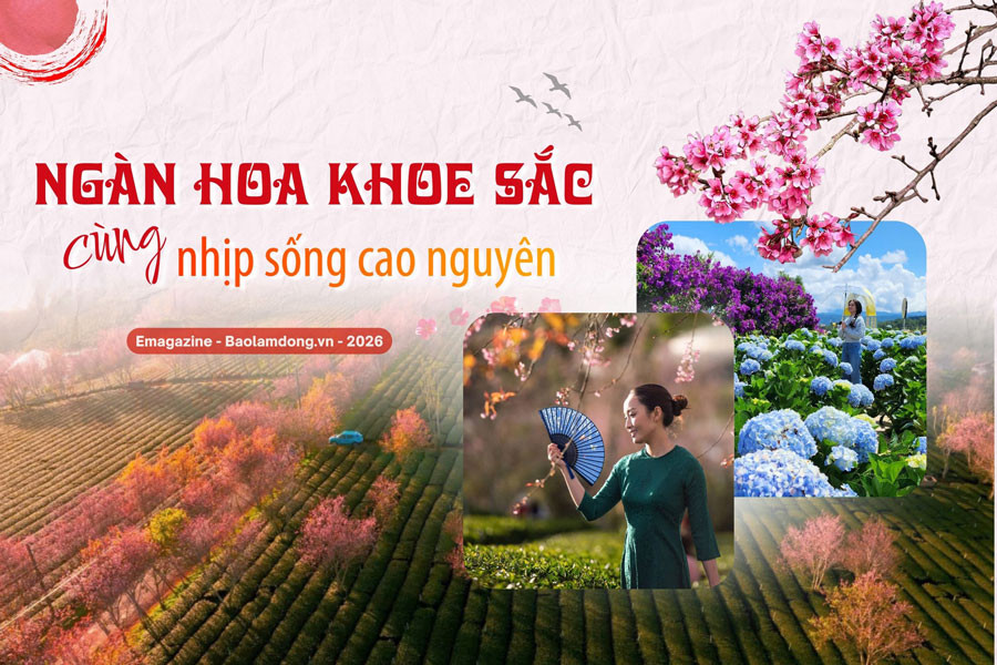 Ngàn hoa khoe sắc cùng nhịp sống cao nguyên