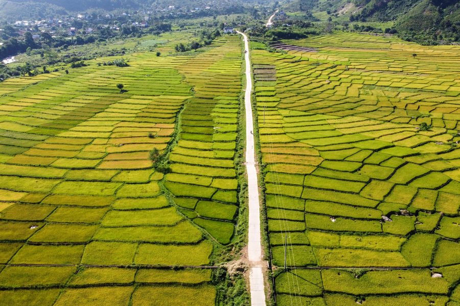 Đam Rông 4 tăng tốc, quyết tâm hoàn thành các mục tiêu, chỉ tiêu nghị quyết