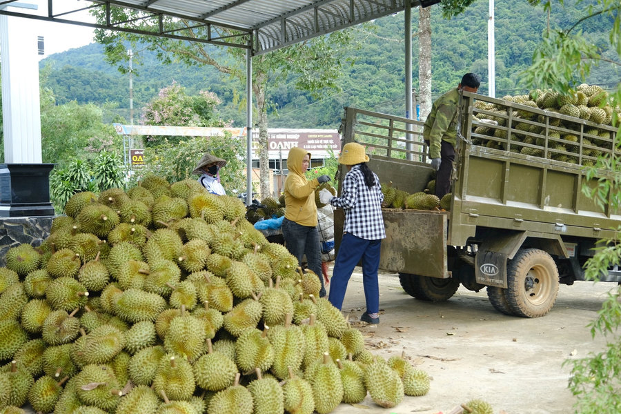 Đạ Huoai 3 - từ xã anh hùng đến miền quê tràn đầy sức sống