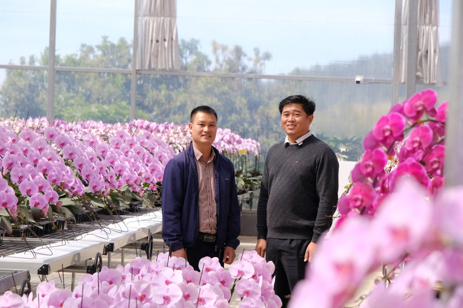 Yến Sang Anh - Kết tinh giá trị cao nguyên trong từng cánh lan hồ điệp