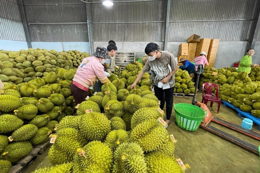 Nông nghiệp giữ vai trò trụ đỡ nền kinh tế
