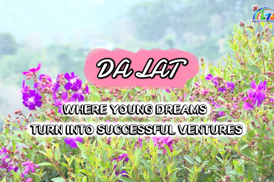 Da Lat: Where young dreams turn into successful ventures