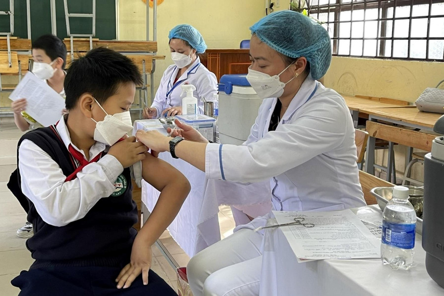 Ngành y tế Lâm Đồng chủ động phòng bệnh viêm não Nhật Bản