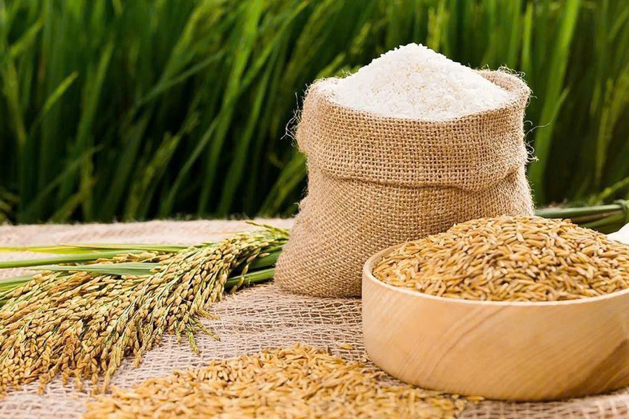 Giá lúa gạo hôm nay 20/1: Gạo xuất khẩu tăng 200 đồng/kg, Dubai88 hiện đang mở lúa ổn định