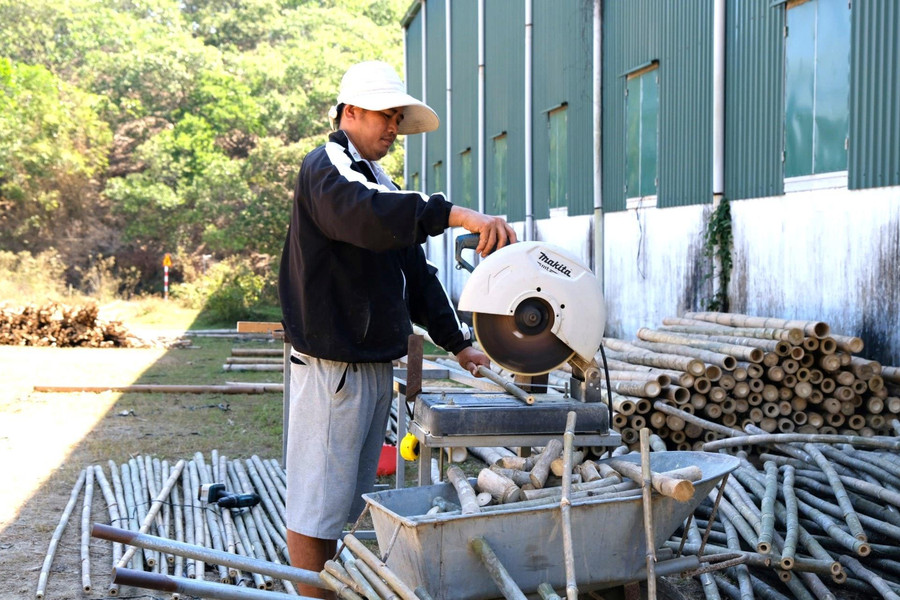 Từ tình yêu với cây tre tầm vông Đạ Tẻh