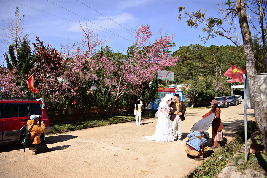 Dung K’si Village Glows with Wild Cherry Blossoms