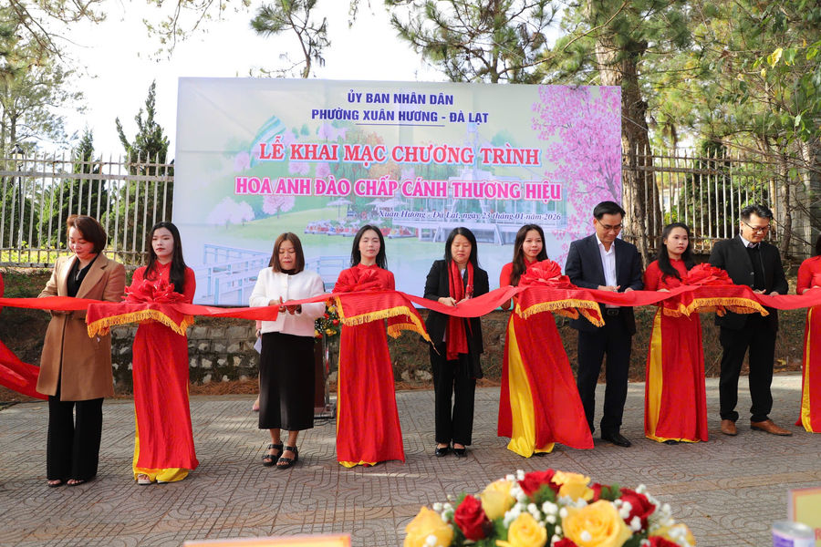 Khai mạc chương trình “Hoa mai anh đào chắp cánh thương hiệu Đà Lạt”