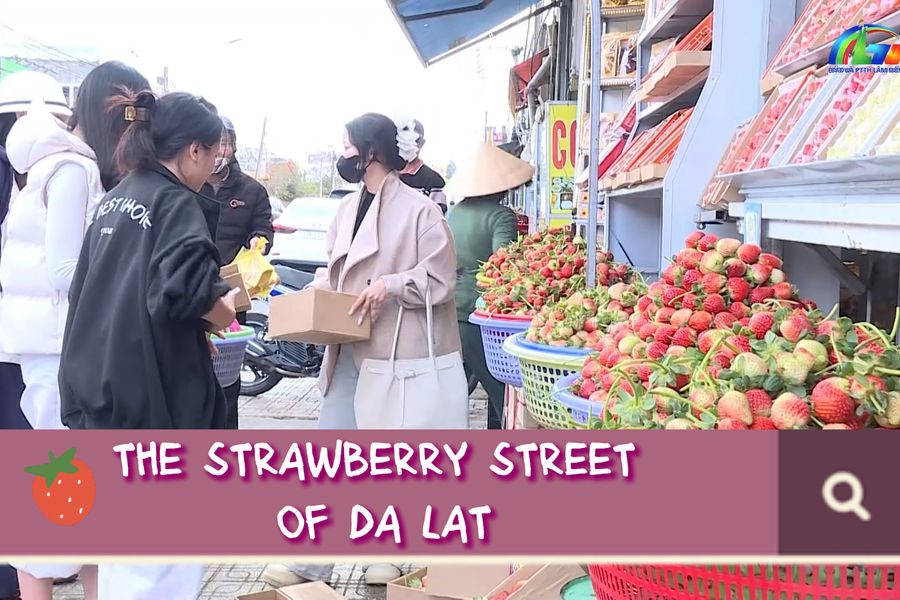 The strawberry street of Da Lat