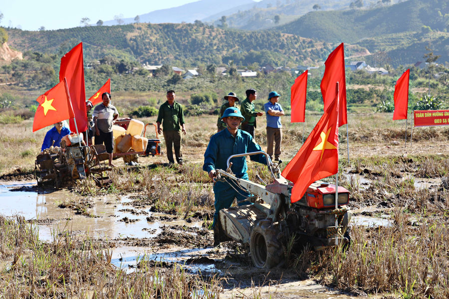 Cùng nông dân xuống đồng - Nét đẹp đầu xuân vùng Đam Rông