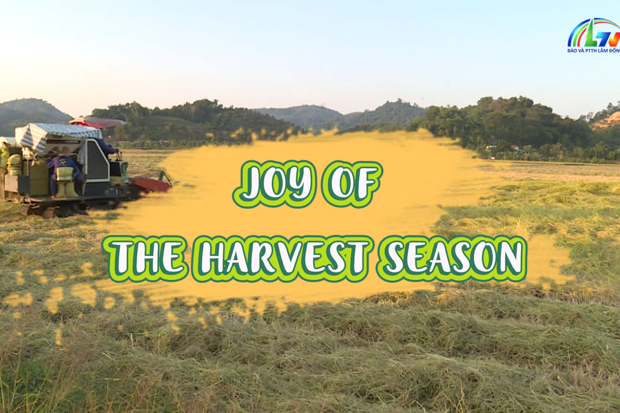 Joy of the Harvest Season
