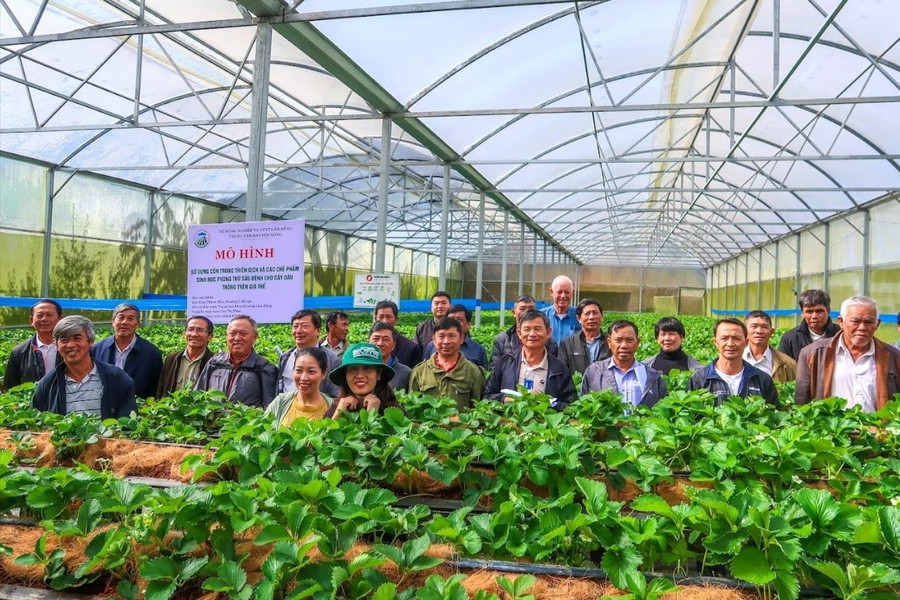 Chuyển đổi từ chuỗi cung ứng sang chuỗi giá trị ngành hàng