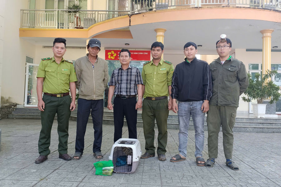Vườn Quốc gia Cát Tiên tiếp nhận, cứu hộ cá thể mèo rừng quý hiếm