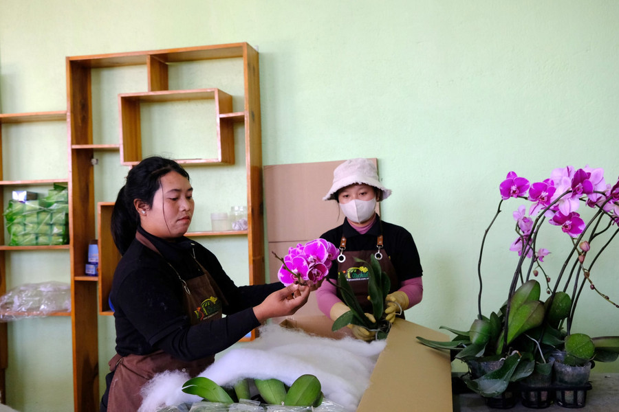 Creating Local Jobs for Ethnic Minority Communities
