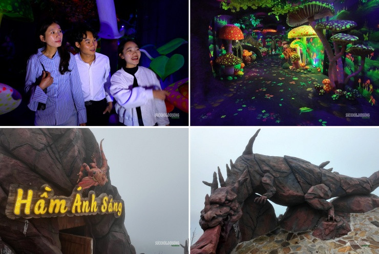 Đèo Ô Quy Hồ: Trải nghiệm Safari ánh sáng huyền bí giữa lòng núi rừng Tây Bắc