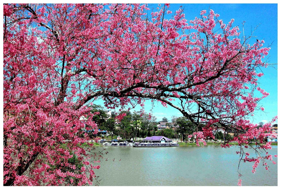 Đảng và mùa xuân