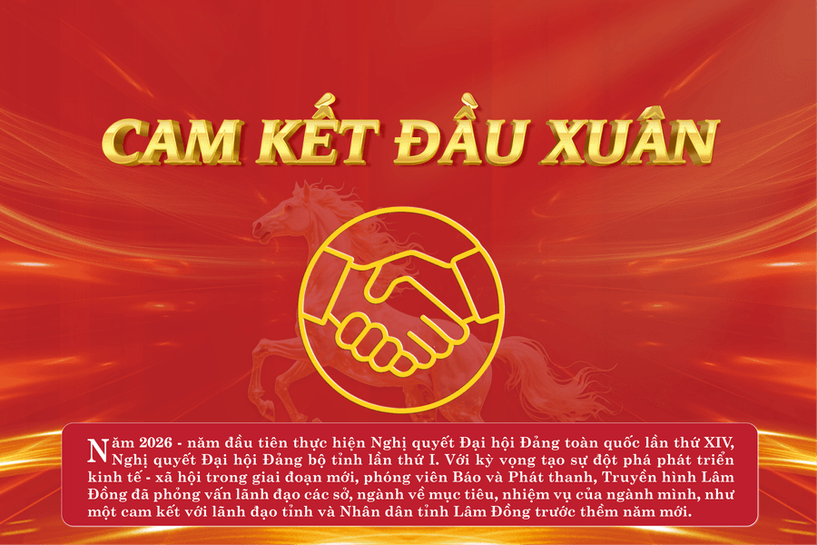 Cam kết đầu xuân