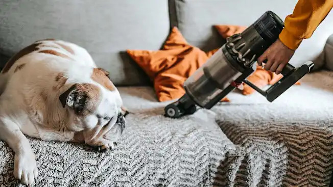 12 cách hiệu quả để giảm thiểu ô nhiễm không khí trong nhà