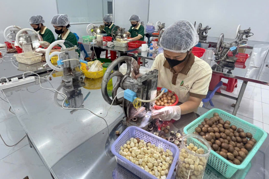 Focusing on Deep Processing to Elevate OCOP Products