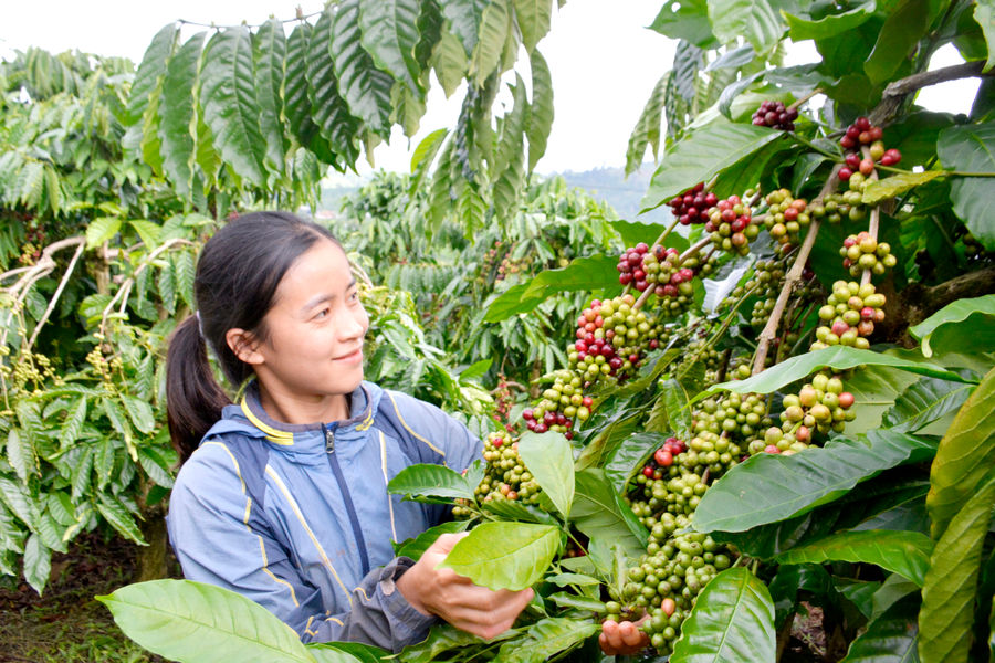 Border Farmers Celebrate a Prosperous Lunar New Year