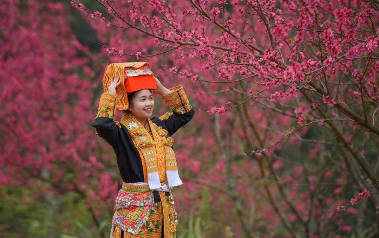Lạng Sơn: Đắm chìm trong sắc hoa đào và khám phá làng du lịch tốt nhất thế giới