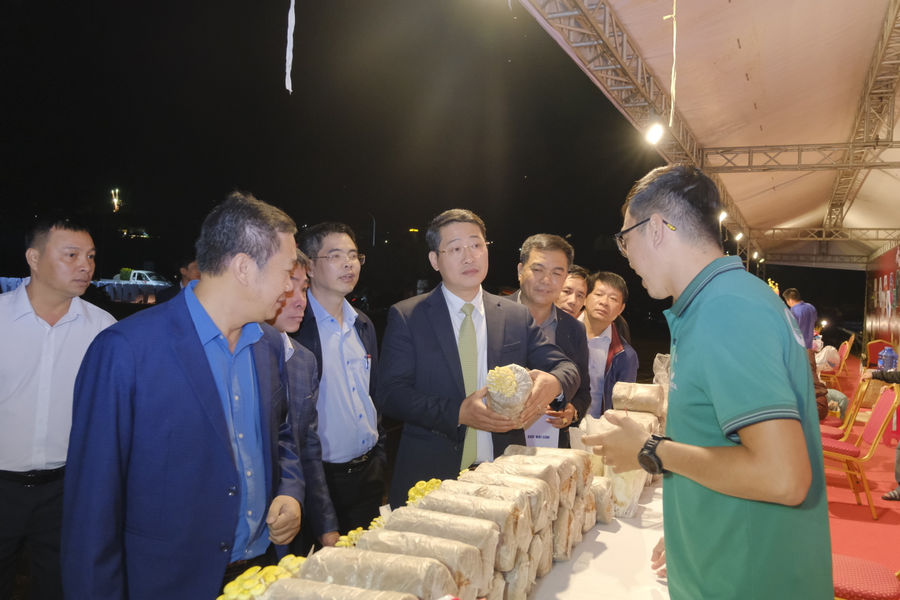 Chợ hoa xuân và mua sắm Tết – Lâm Đồng đại ngàn năm 2026