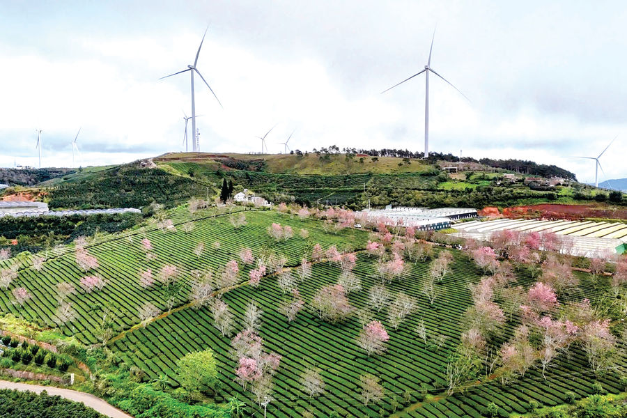 Spring Winds Power a New Growth Engine in Lam Dong