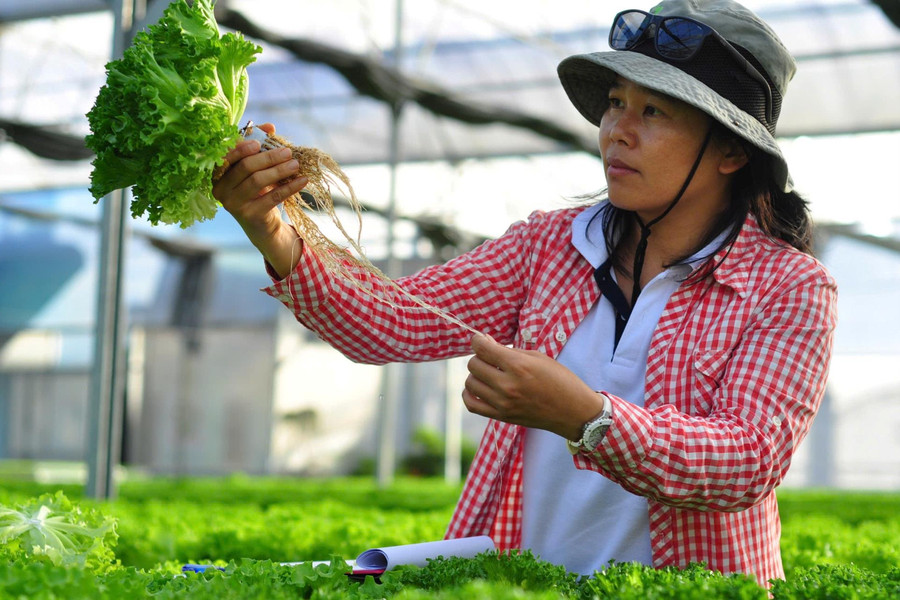 Lâm Đồng khẳng định vị thế trung tâm nông nghiệp công nghệ cao cả nước