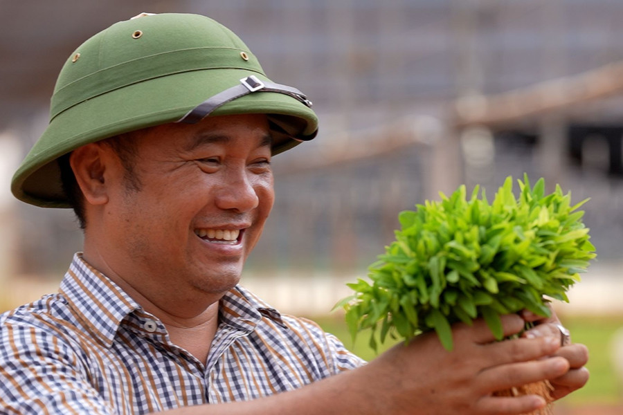 Hành trình Tiến sĩ Vũ Văn Thoại đưa vàng xanh đàn hương chinh phục đất Kenya