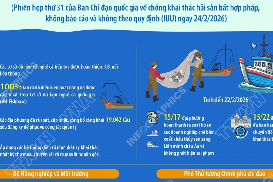 Rà soát, đánh giá toàn diện việc thực hiện các nhiệm vụ chống khai thác IUU