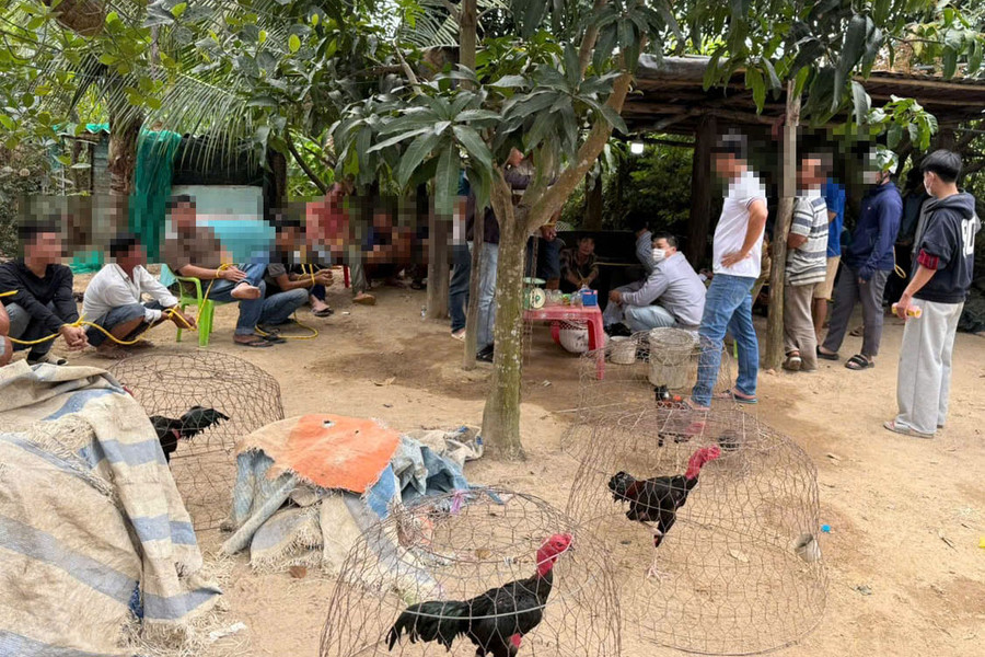 Chuyển biến tích cực trong bảo đảm an ninh - trật tự ở vùng khó Tân Lập