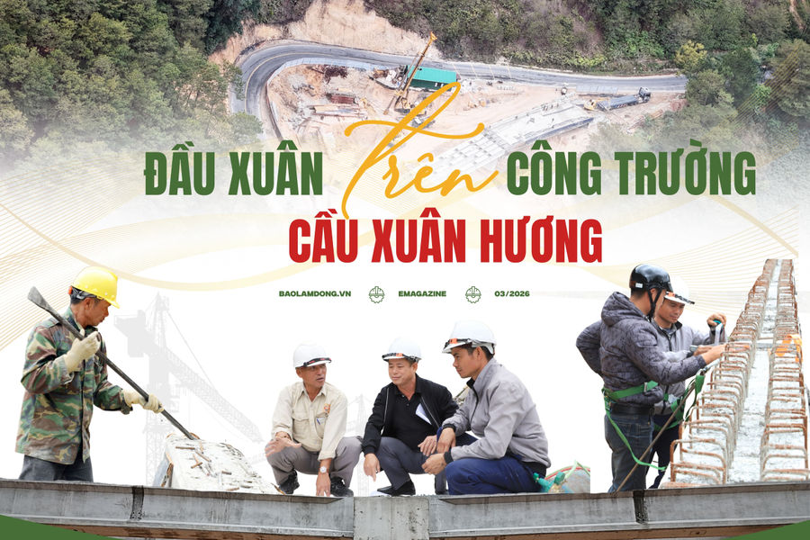 Đầu Xuân trên công trường cầu Xuân Hương