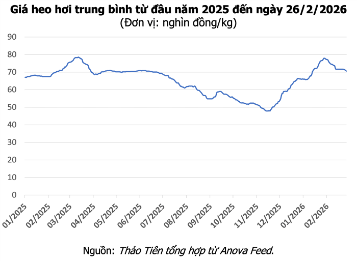 Giá heo hơi hôm nay 26/2: Miền Bắc và miền Trung giảm sâu, thấp nhất 69.000 đồng/kg