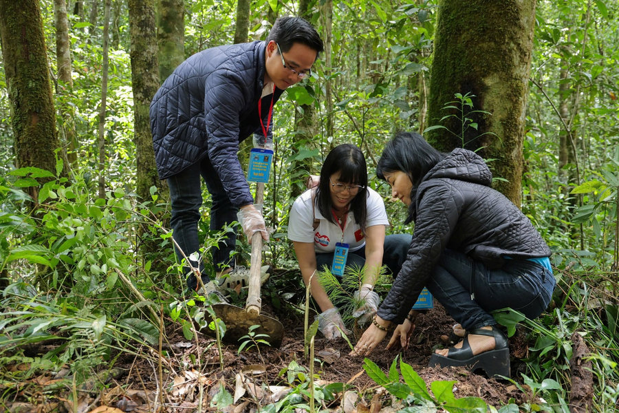 Safeguarding Bidoup Forest: When Technology Joins Hands with the communities