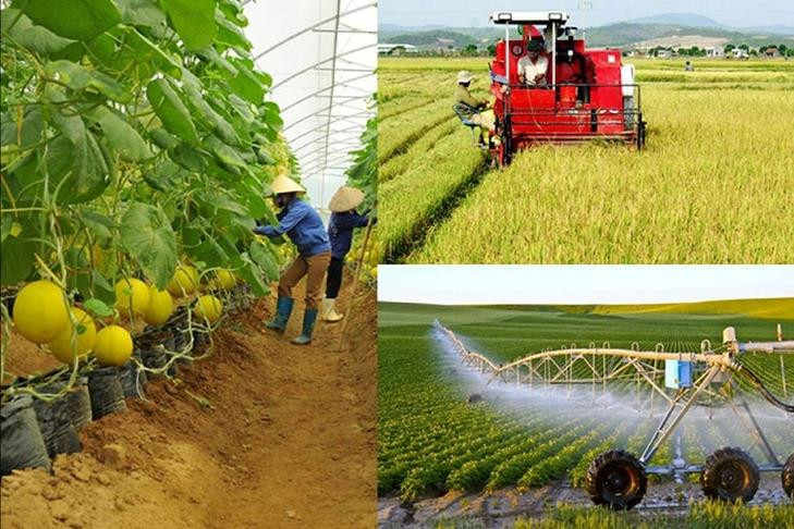 Hỗ trợ hợp tác xã tiếp cận, áp dụng các nền tảng số, công nghệ mới