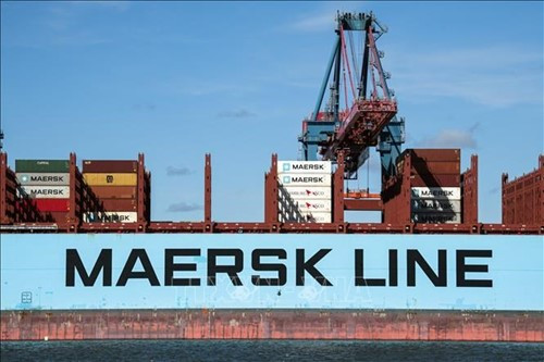 Chỉ số cước vận tải biển Baltic tăng lên 2.242 điểm, cao nhất hơn 2 tháng