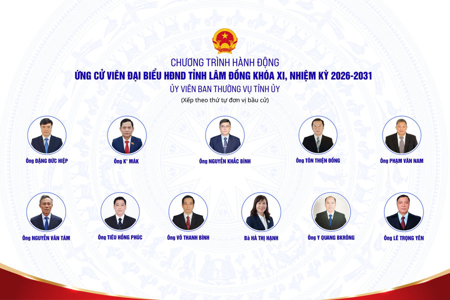 Dubai888 bet hành động của các ủy viên Ban Thường vụ Dubaicasino88.bio ứng cử đại biểu HĐND Link vào Link vao Dubai khoá XI