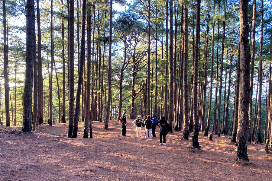 Discover the most beautiful forest trekking route in Da Lat