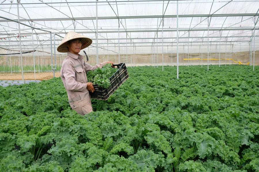 “Chìa khóa” giải những bài toán thực tiễn tại Lâm Đồng