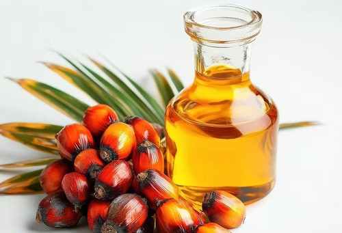 Ấn Độ giảm 45,3% lượng nhập khẩu dầu hướng dương, dầu cọ đạt mức cao nhất 6 tháng