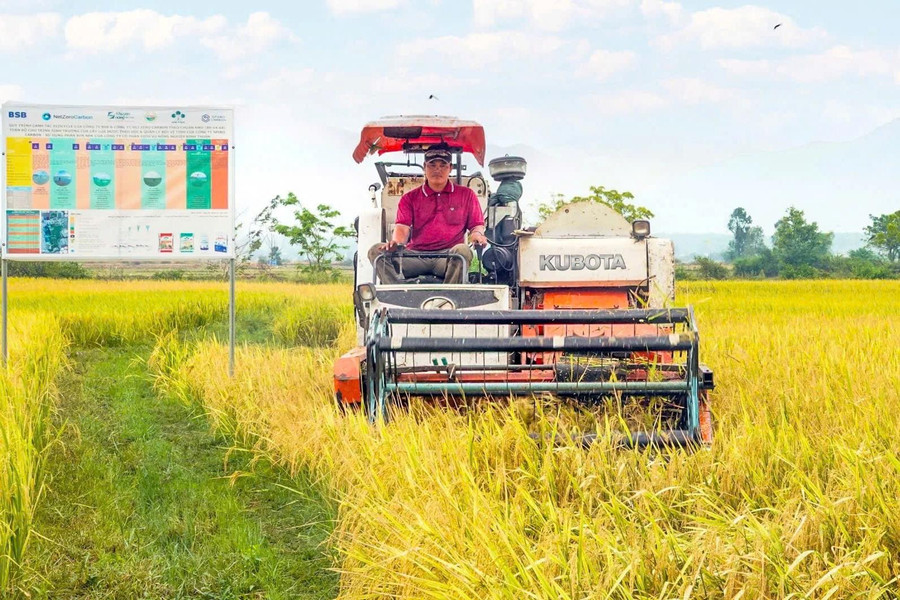 Dấu ấn phát triển kinh tế vùng đồng bào DTTS ở Bắc Bình
