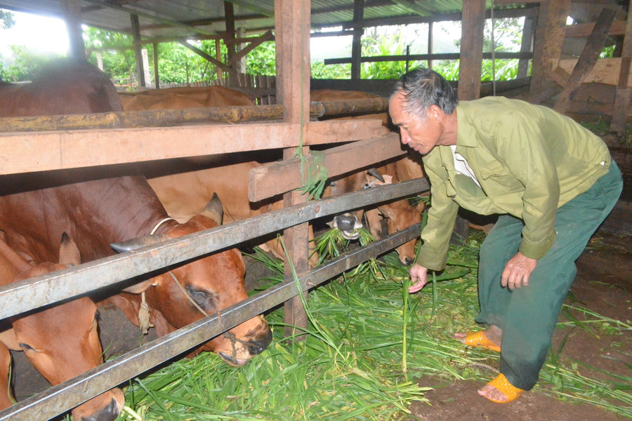Creating Momentum for Sustainable Livestock Development
