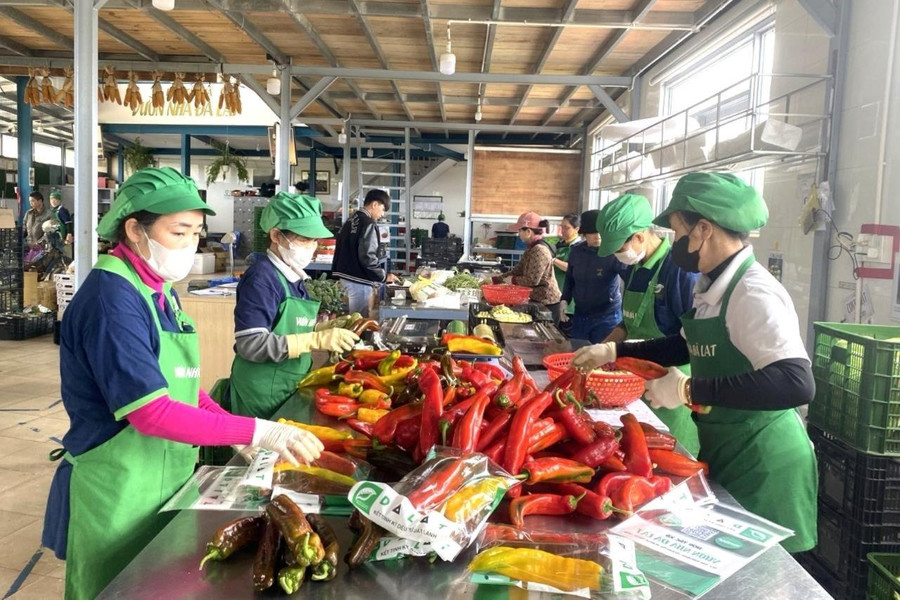Định hình mới cho hợp tác xã số