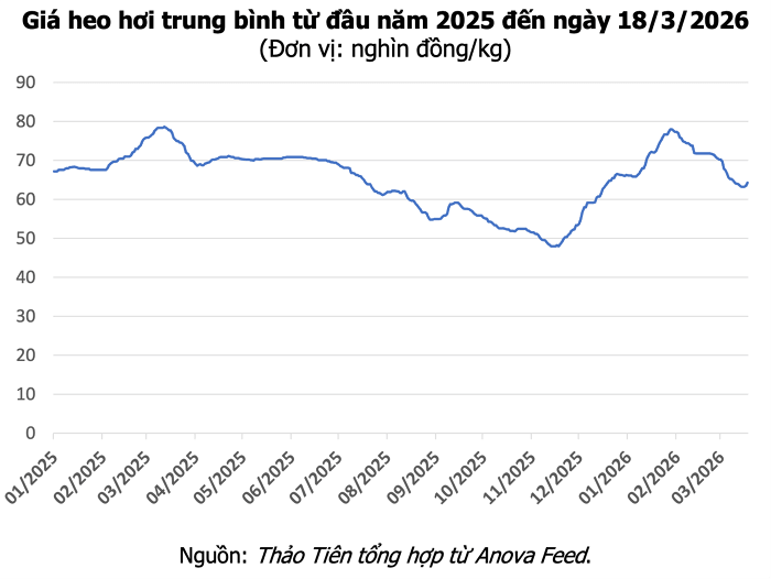 Giá heo hơi hôm nay 18/3: Tăng đồng loạt cả ba miền, mức cao nhất đạt 67.000 đồng/kg